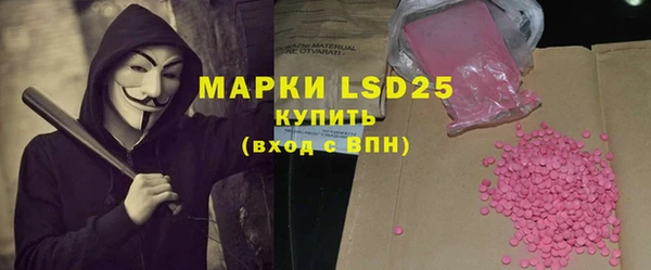 индика Армянск