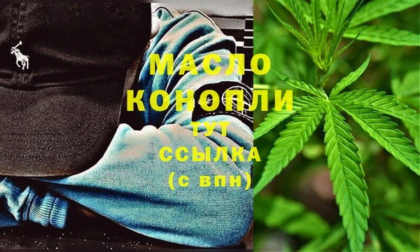 индика Армянск